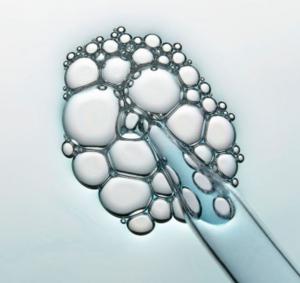 Otak manusia cuper cerdas 4