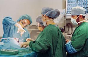 Otak manusia super cerdas 2