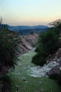 Makanan Organik Tiongkok 2