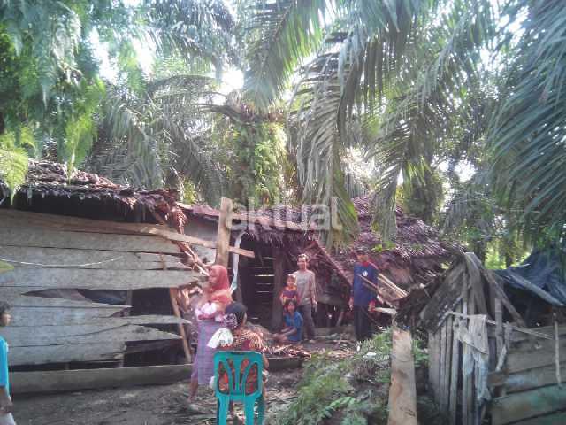 Puluhan Rumah di Flores Timur Hancur, Ini Sebabnya 