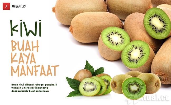 sejuta manfaat buah kiwi bagi kesehatan manusia aktual