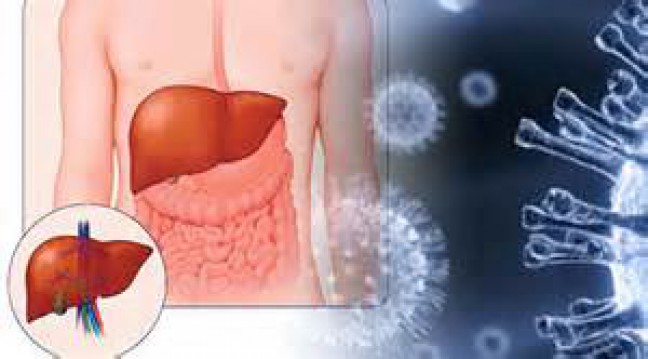 Video Animasi Hepatitis C Cara Agar Terhindar dari Video Animasi Hepatitis C Cara Agar Terhindar dari